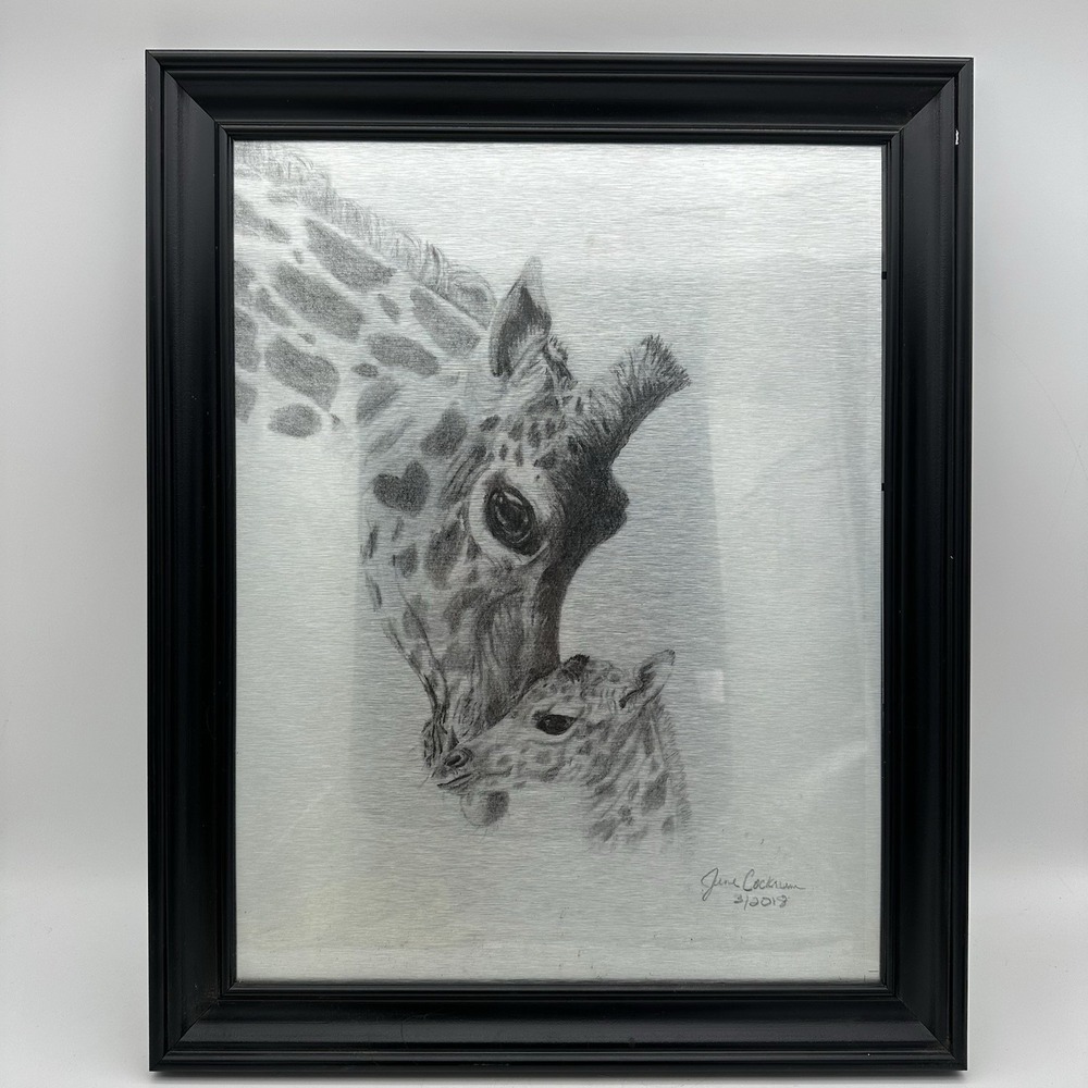 Etched Steel Hand Drawn Mom & Baby Giraffe Artwork #2 Of 200 Artist Signed 2018